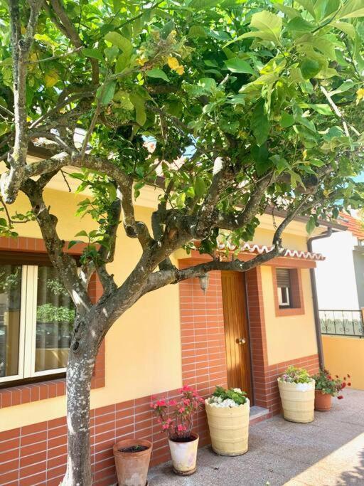 Top Beach House Costa de Caparica Ngoại thất bức ảnh